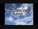 EXA PIECO231日本語