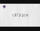 [m countdown vol.2#1] TXT catanddog[cat&dog/ネコと犬/고양이 & 개]