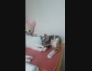 寝ながらイチャイチャ