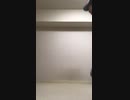 【リクエスト】コトブキシティ 昼 で踊ってみた