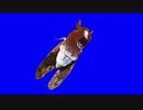 ウマファイナルBB