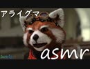 【ＡＳＭＲ】死んだ目をしたアライグマ、耳かき奉仕　耳かき雑談　ささやき