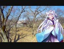 【第五回ひじき祭】ひじきを煮るには鉄馬で