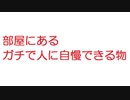 【2ch】部屋にあるガチで人に自慢できる物