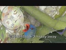 ゲンセンズ「deadline」