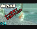【続編決定記念】のんびりと伝説「ゼルダの伝説～ブレスオブザワイルド～」　＃11