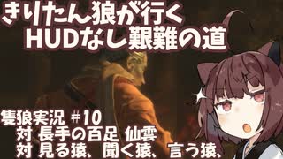 【隻狼/SEKIRO】きりたん狼が行く -HUDなし艱難の道-　第十幕