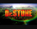 Dr. Stonelization
