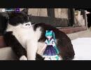 【MMD】ショート動画まとめ~ちょっと変わった技術で背景を作る~【フォトグラメトリ】