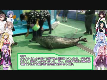 [仮想]VOICEROID動画勢赤福オフ2019　9