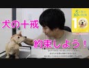 【約束】犬の十戒を愛犬に誓おう(YouTubeで『ワンチュー犬』を検索)