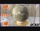 「月」みたいな泥だんごを蟻に与えたら、美しいジオラマが誕生した。