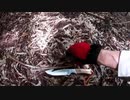 変態忍者の、狩猟＆有害鳥獣駆除従事活動記・その８１