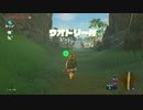 【趣味】拙いですがパンツでマスターになる【ゼルダの伝説ブレスオブザワイルド】pants88