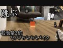 第921位：ヤババババババイク