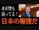 麗しき和の世界情勢  水産物減少も日本の報復だ！20190831