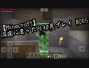 【Minecraft】深夜にまったり初見プレイ#5