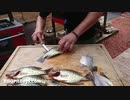 シガーアッシュバーベキューソース