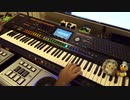 シグマハーモニクスから「Who is he Anyway」を弾いてみました。