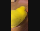 人間入ってない？
