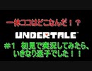 ＃１　UNDERTALE(アンダーテール)実況プレイ