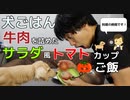 【犬ごはん】牛肉を詰めたサラダ風トマトカップご飯を料理して愛犬に食べさせてみた！(YouTubeで『ワンチュー犬』を検索)