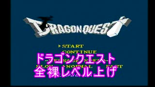 ドラゴンクエスト全裸レベル上げ　レベル1から3