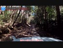 [茨城険道61号]ゆっくりジムニー険道めぐり！その81
