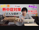 【熱中症対策】動物虐待と見なされる？犬の熱中症とその症状・対策について考えてみた（夏の暑さ対策グッズも紹介）