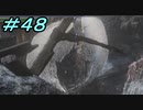 【ダークソウル３】熱い魂(ソウル)を燃やし尽くせ！！ #４８【夏休みの宿題】