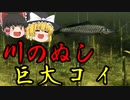 【ゆっくり実況】海無し県人のゆっくりの川釣り　part15 【川のぬし釣り～秘境を求めて～】
