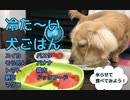 【冷た〜い犬ごはん】夏で暑いので犬の食べ物を全部氷の中に入れてあげてみたらこうなった