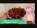 東京で釣り!?をしよう～第4回　～ひょうたん池～