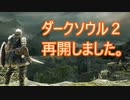 【実況】そうだ「ダークソウル 2」をしよう(初見)  25