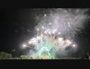 【2019】いなわしろ花火大会[新時代へ]　音楽付き創作スターマイン「世界はあなたに笑いかけている(Little Gree Monster)」