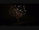 2019.8.31（秋田）大曲の花火　「近未来幻想紀行」