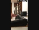 白日 / King Gnu 弾き語りカバー