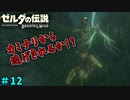 【続編決定記念】のんびりと伝説「ゼルダの伝説～ブレスオブザワイルド～」　＃12
