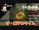 【実況】マスターモードでやりこみサバイバル生活！！　Part13　【ゼルダの伝説　BotW】