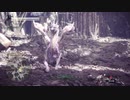 【MHWI β】凛冽のイヴェルカーナ チャージアックス 5'34"93