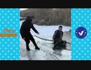"funniest video, try not to laugh"