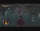 【初見】厨二病を解放した私がダクソ3をやる【実況】part39-2