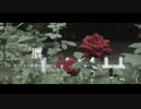 贋/心華