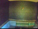 【うたスキ動画】情熱の薔薇／THE BLUE HEARTS