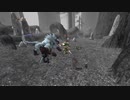 【FF11】エスカ・ジタでBOT狩りしているプレイヤー達【ラグ鯖】