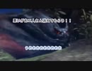 【モンハン1人でアフレコ】(リア充撲滅1番隊長ナルガクルガ)CV一応ムツラキリト