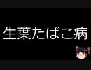 【ゆっくり朗読】ゆっくりさんと不思議な病気 その95