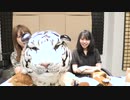 【月額会員限定】西田望見・奥野香耶のず～ぱらだいす 第152回おまけ動画