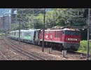 【北の】JR北海道H100形気動車甲種輸送(20190903)【新顔】