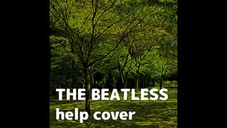 HELP (COVER)